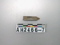 藏品(石鏃殘件)的圖片